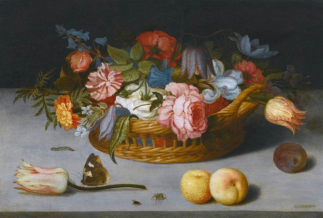 Still-Life