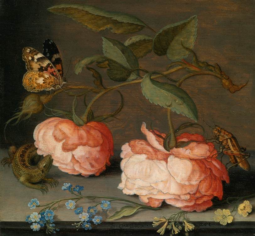 Still-Life