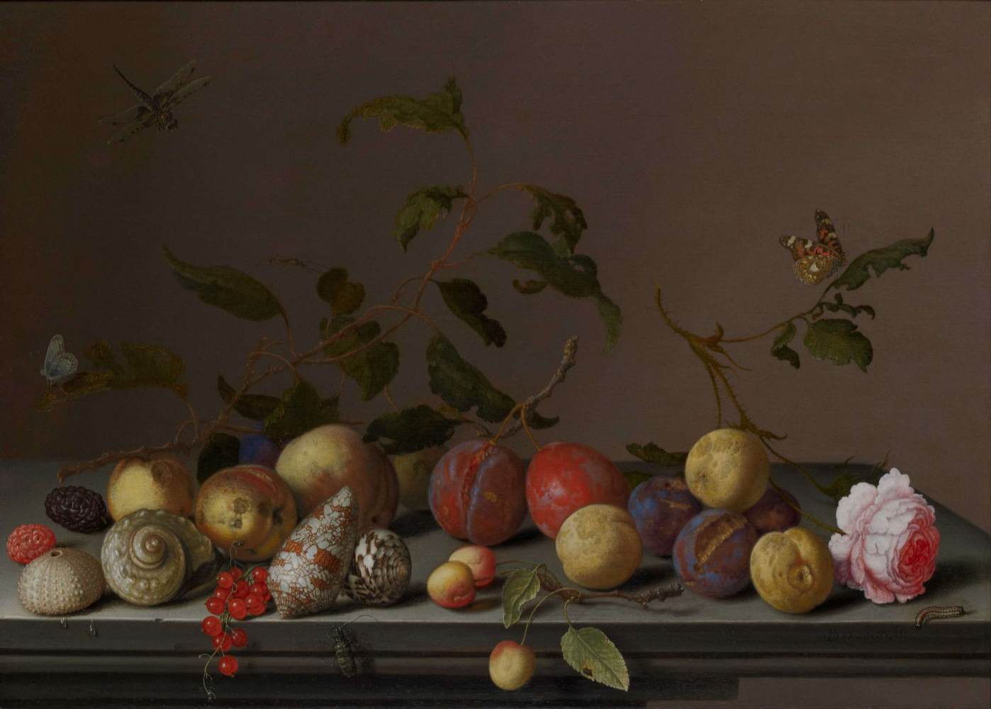 Still-Life