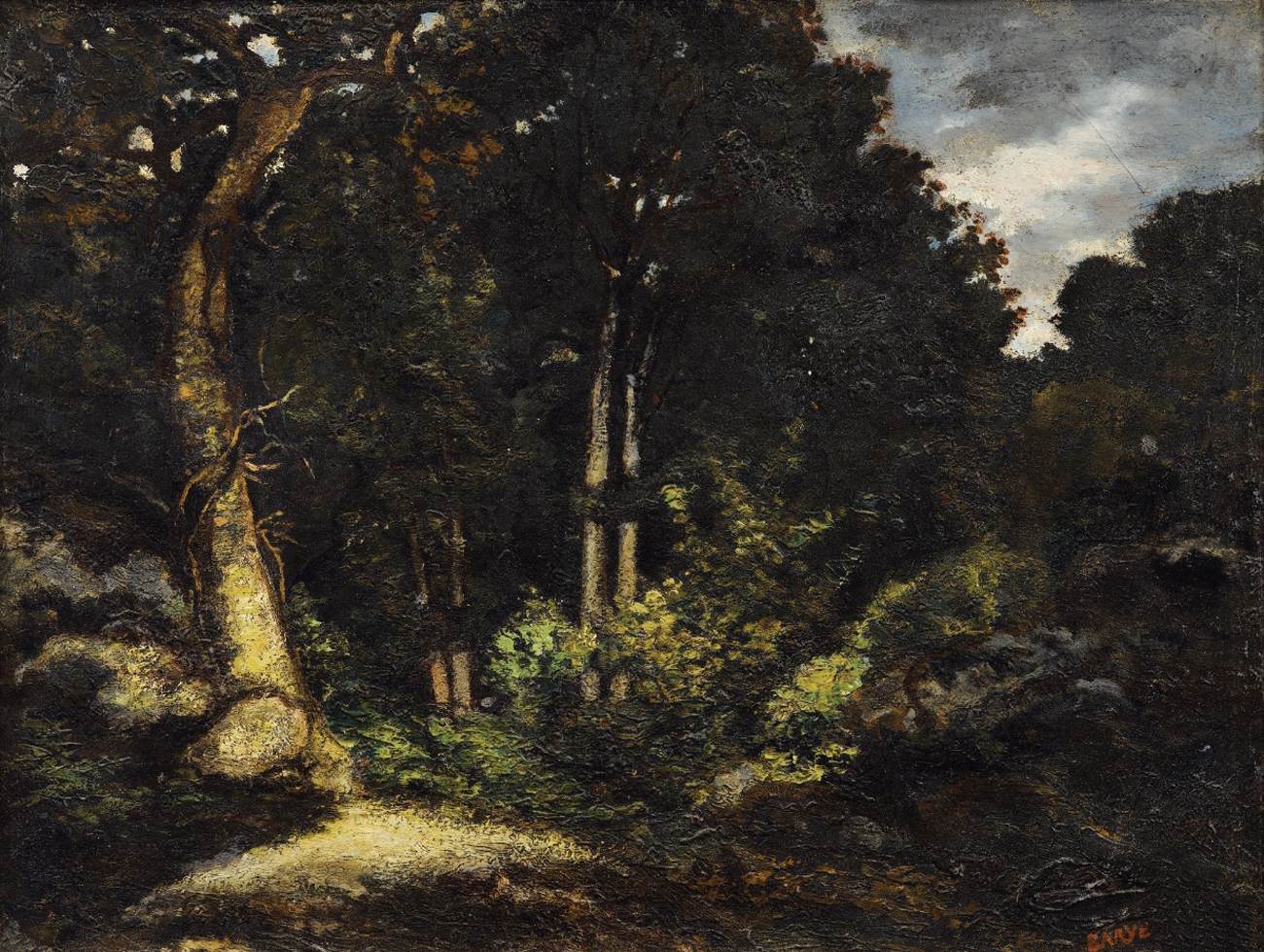 Forest of Fontainebleau: "La Reine Blanche"