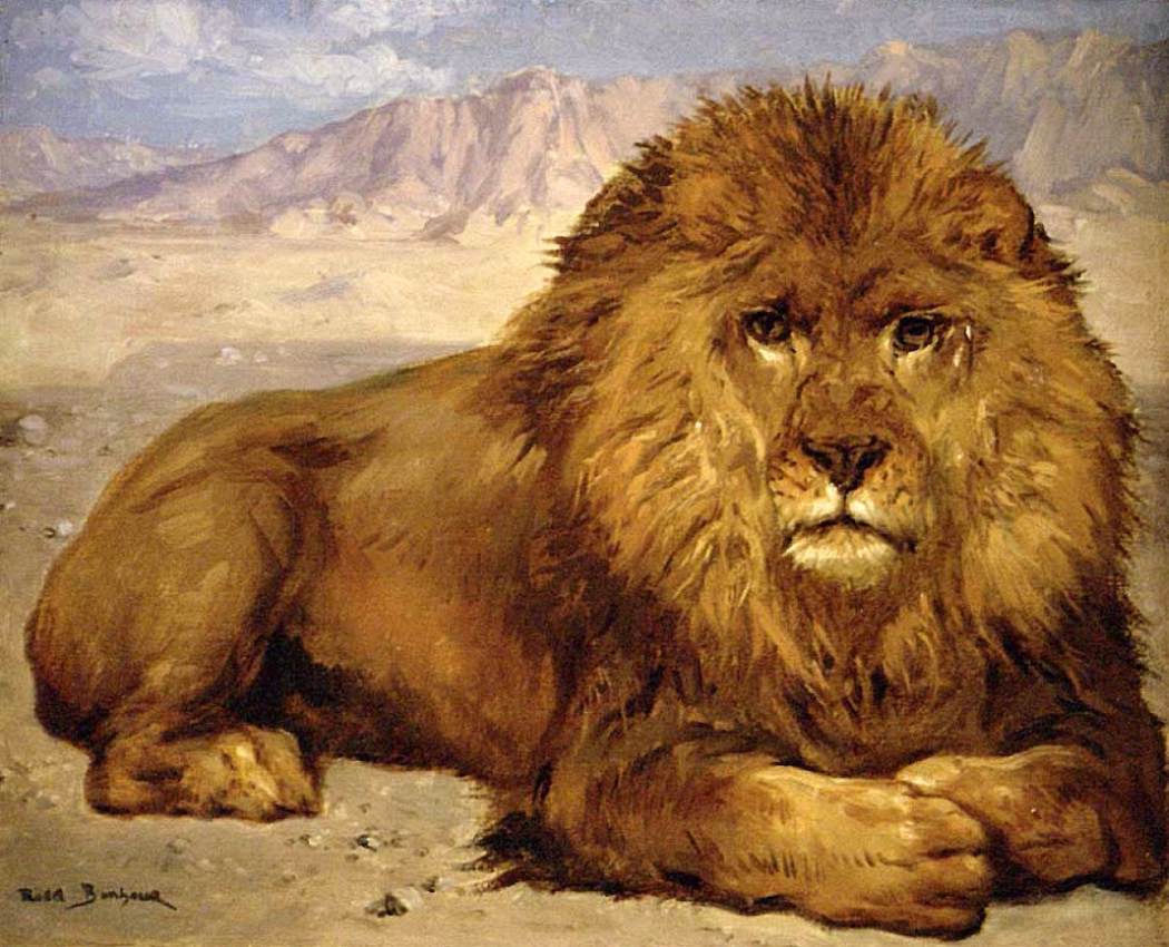 Lion at Rest