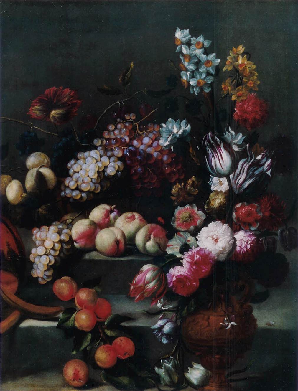 Still-Life