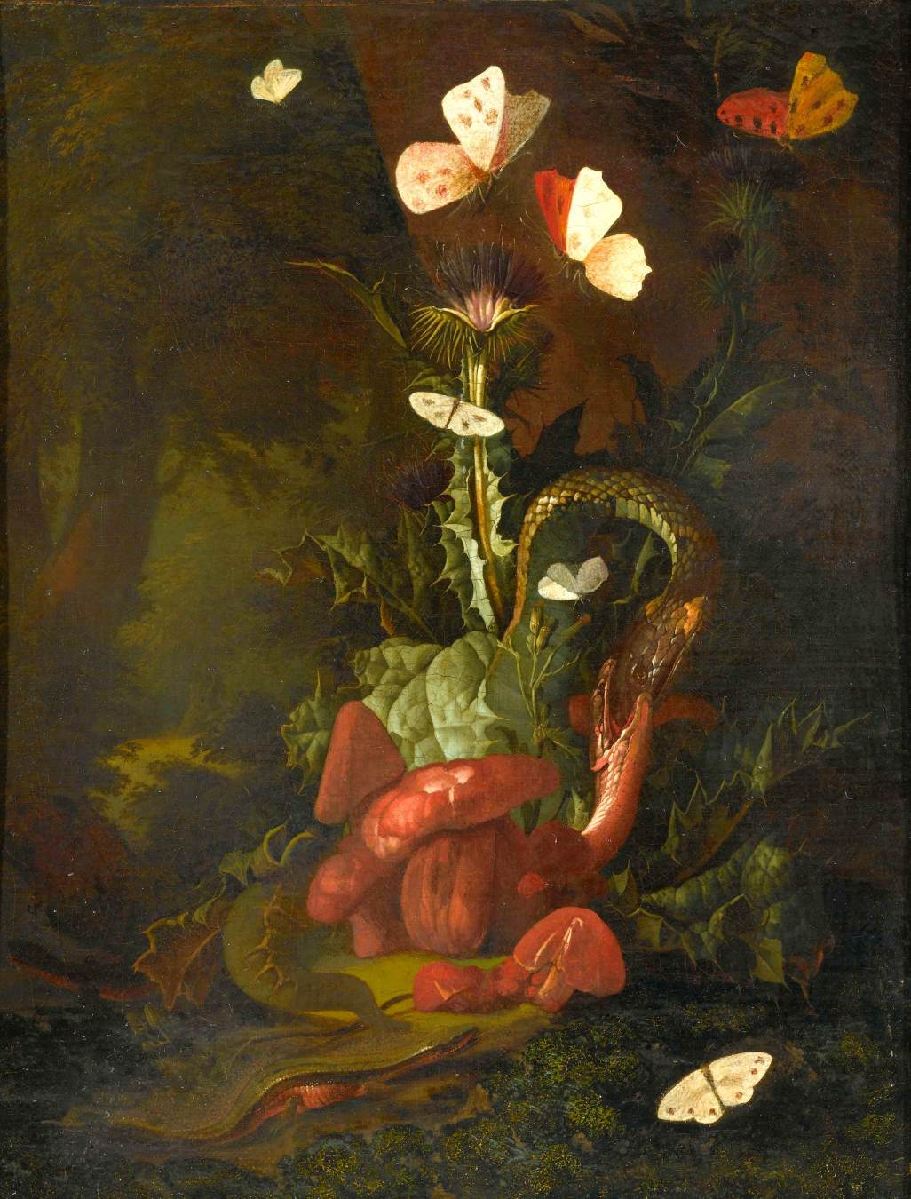 Forest Floor Landscape