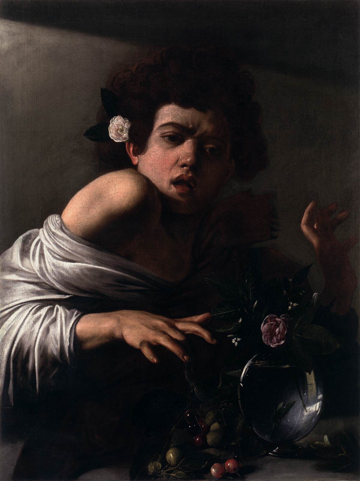 Boy Bitten by a Lizard