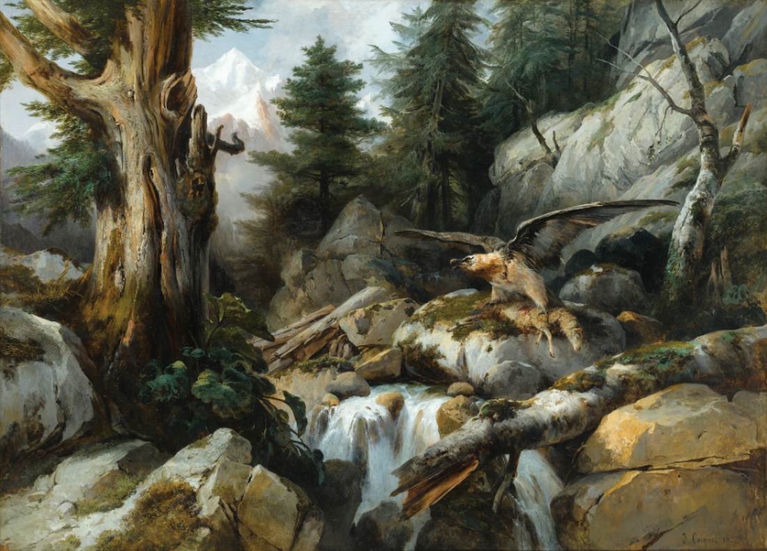 Bearded Vulture Devouring his Prey