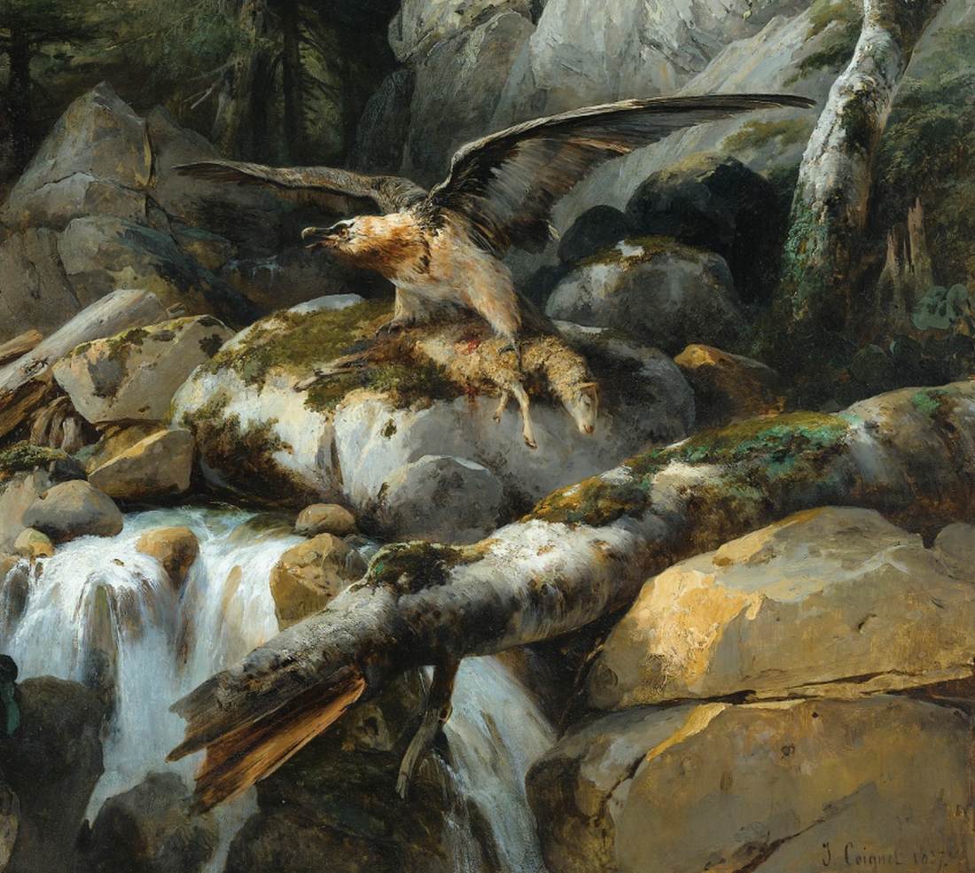 Bearded Vulture Devouring his Prey (detail)