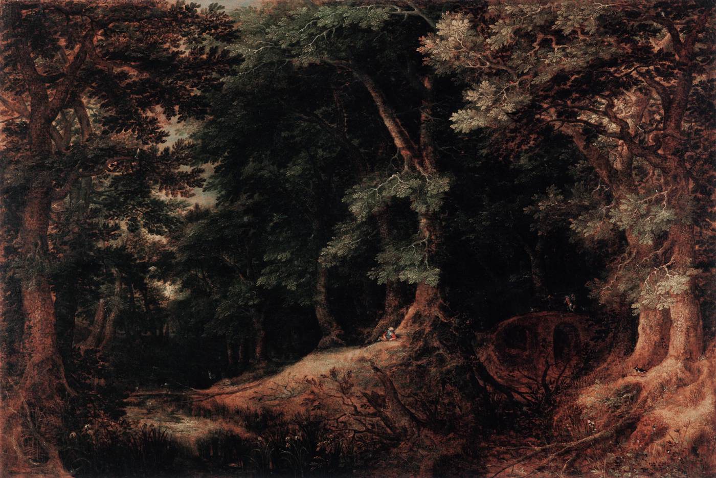 Forest Landscape