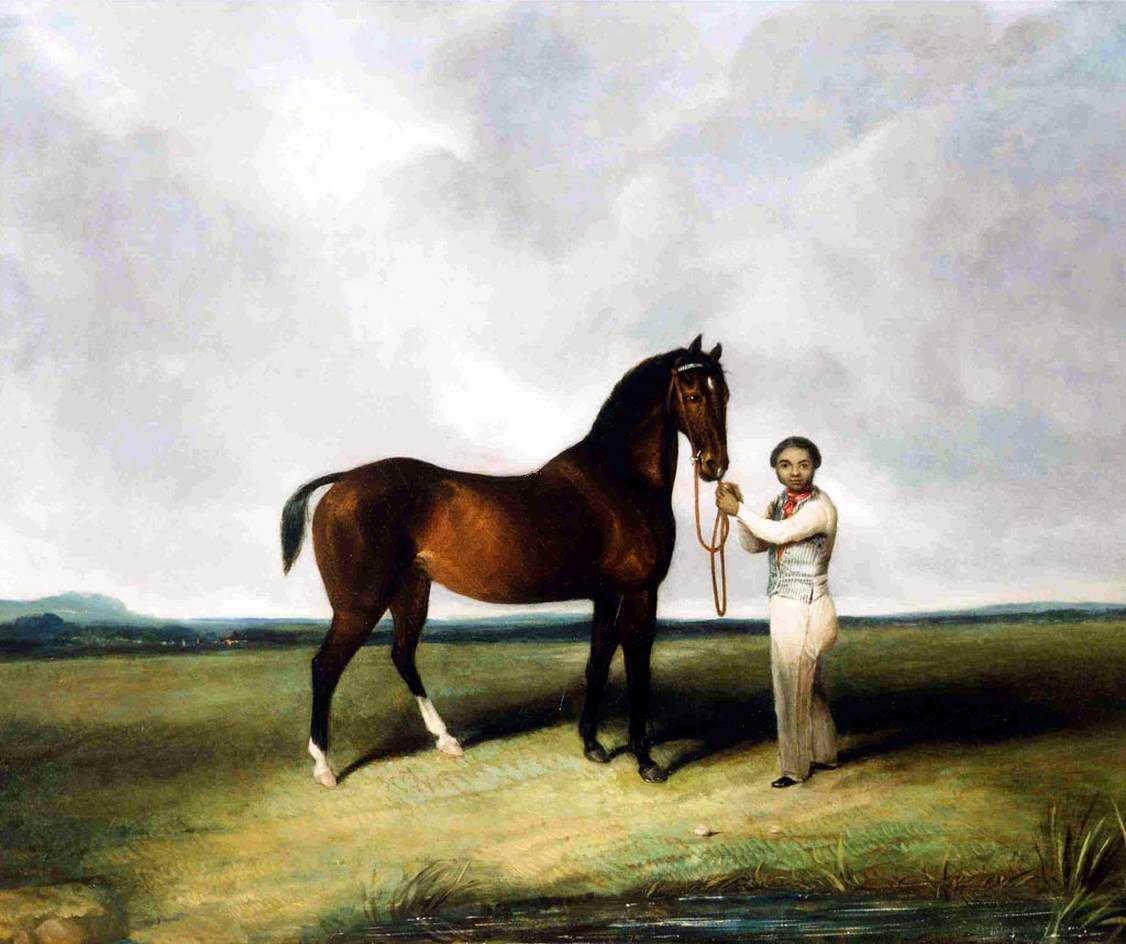 Portrait of a Favourite Bay