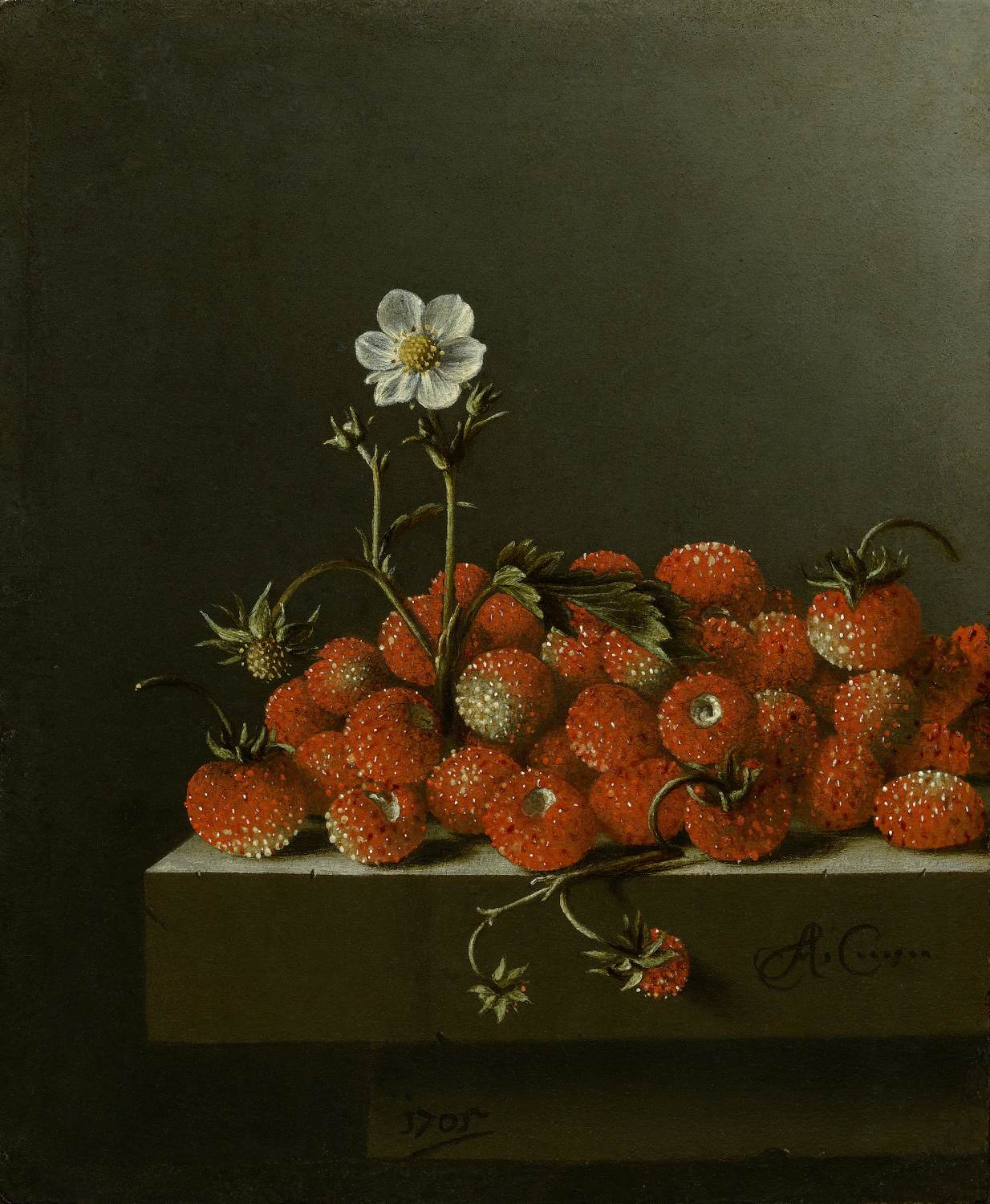 Still-Life with Wild Strawberries