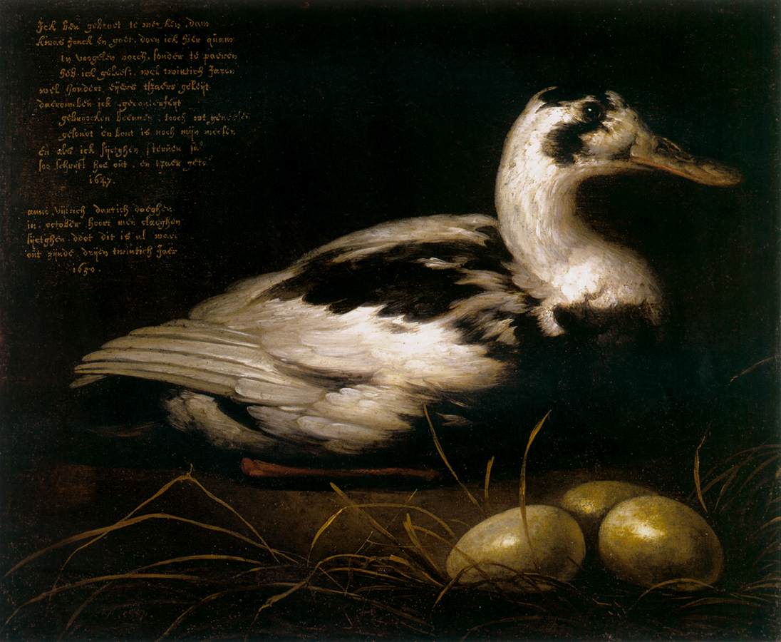 Portrait of a Twenty-year-old Duck Sijctghen