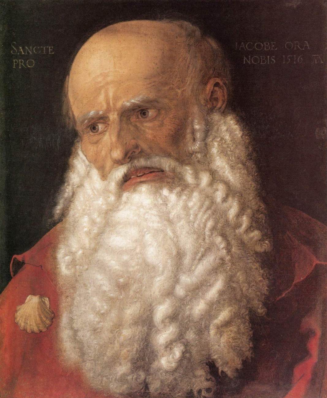 The Apostle James the Elder