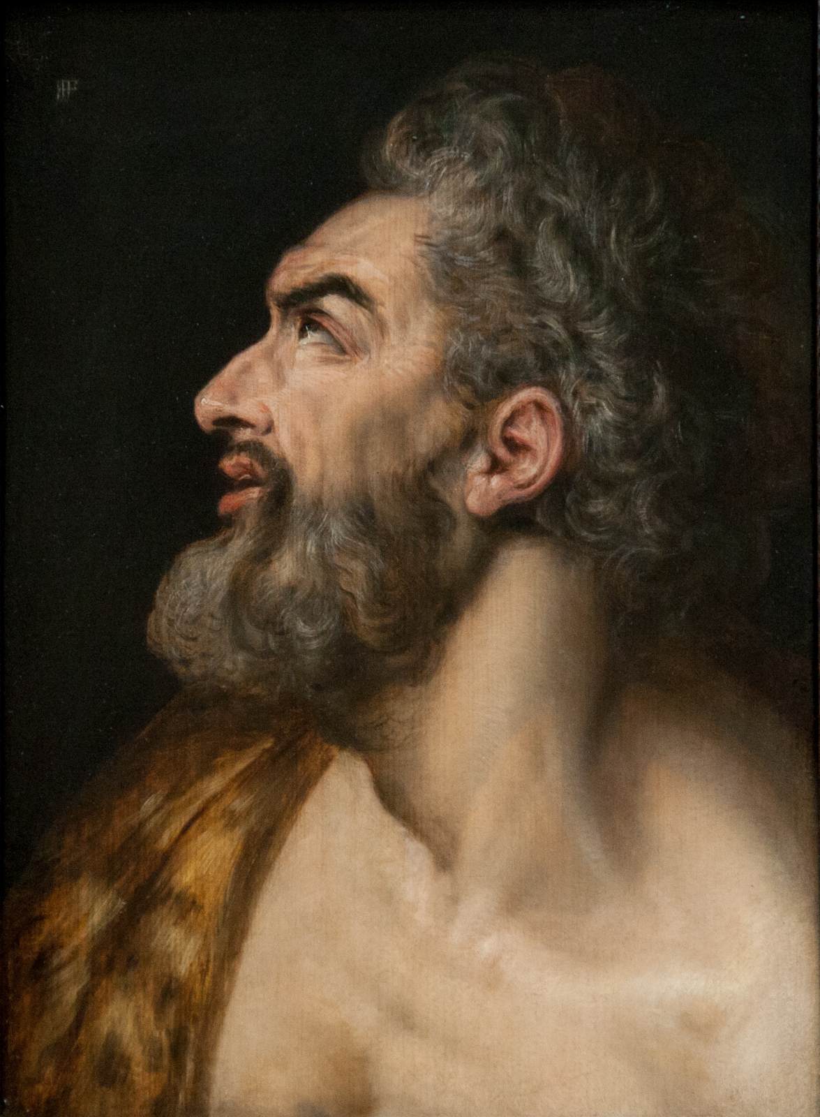 Study Head of a Bearded Man