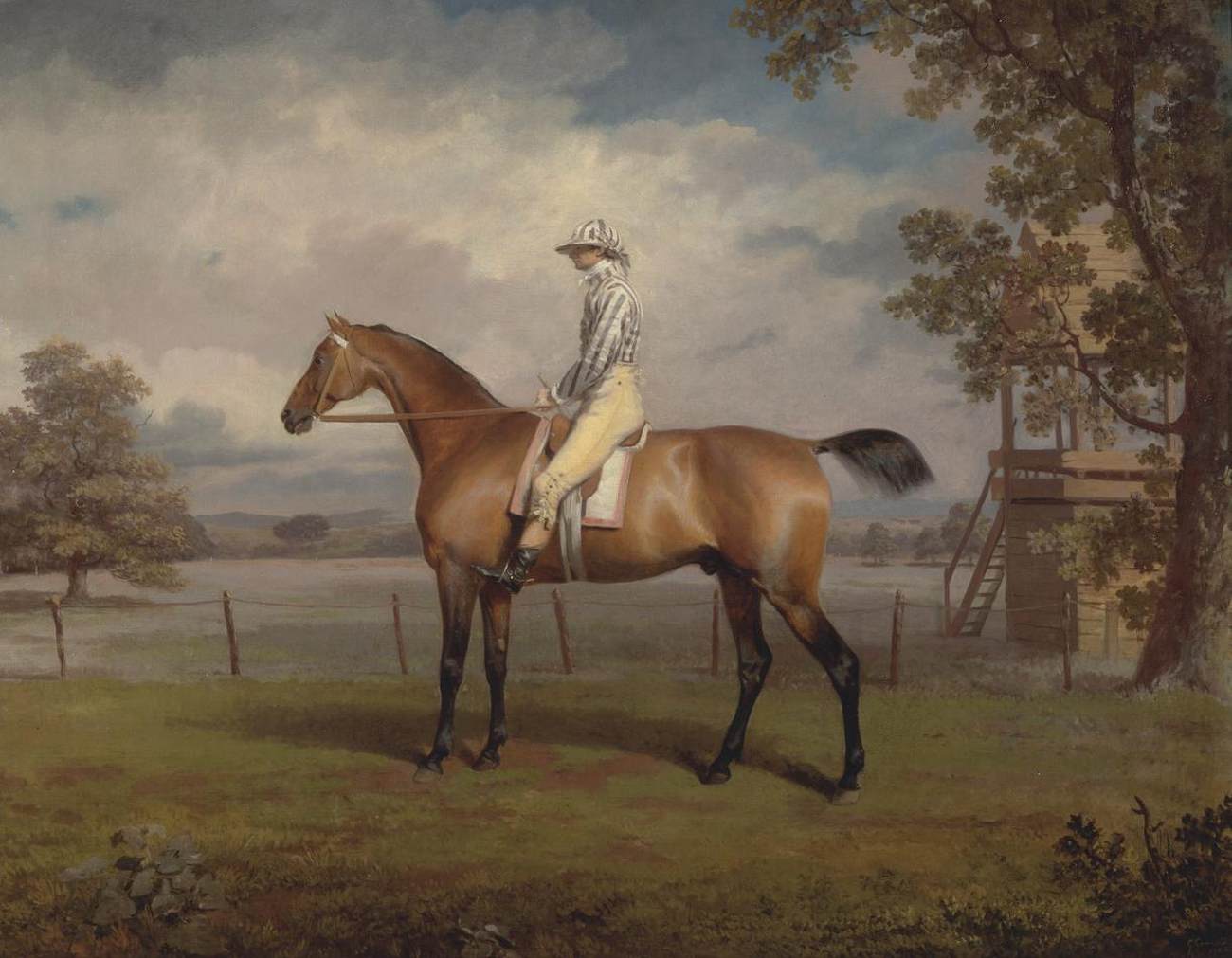 Racehorse with Jockey