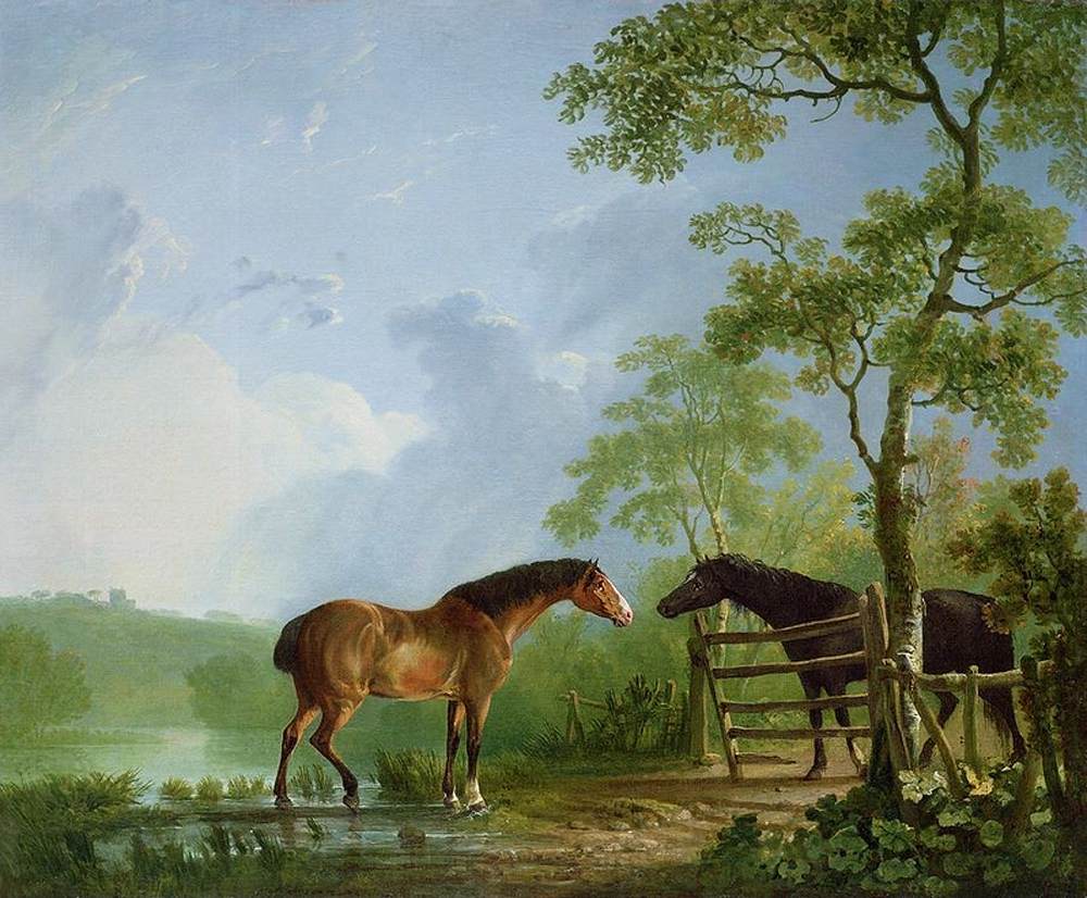 Mare and Stallion in a Landscape