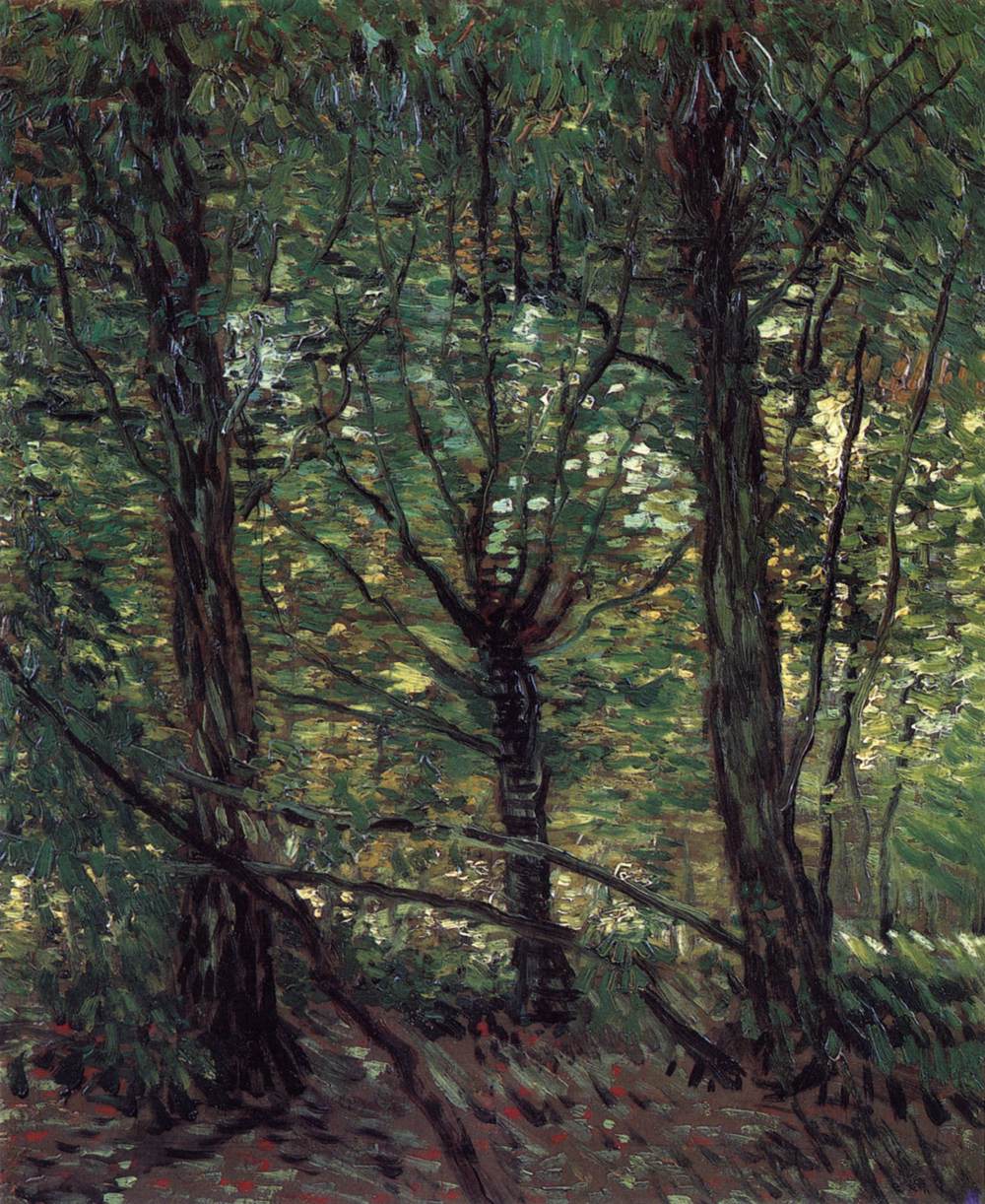 Trees and Undergrowth