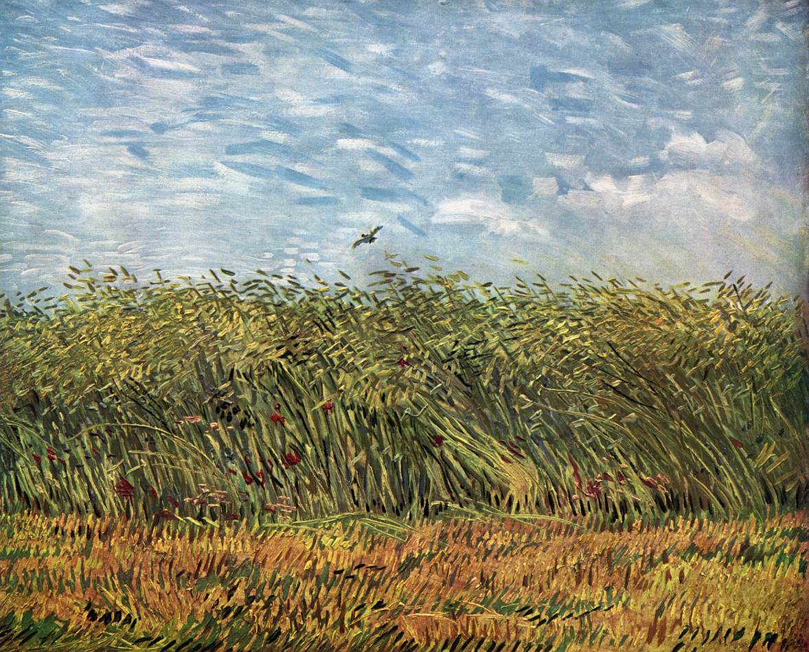 Wheat Field with a Lark
