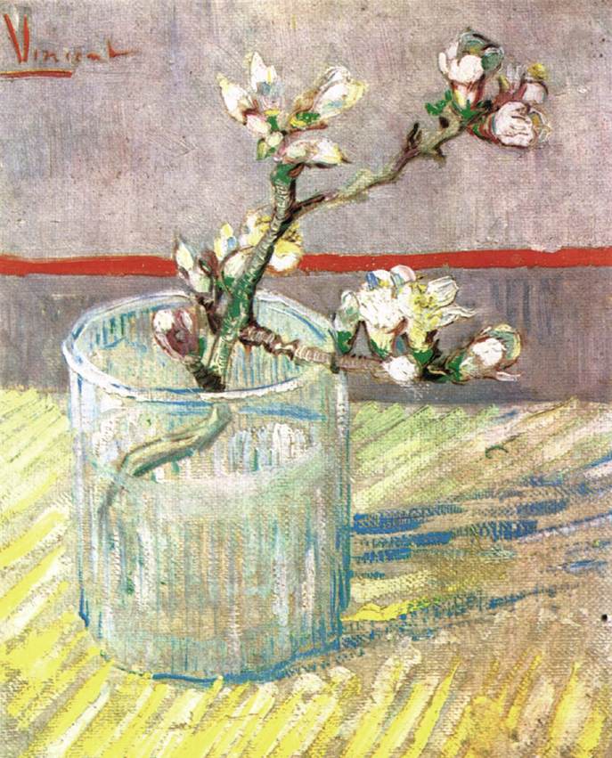 Blossoming Almond Branch in a Glass