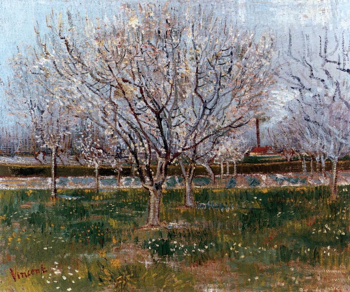 Orchard in Blossom (Plum Trees)