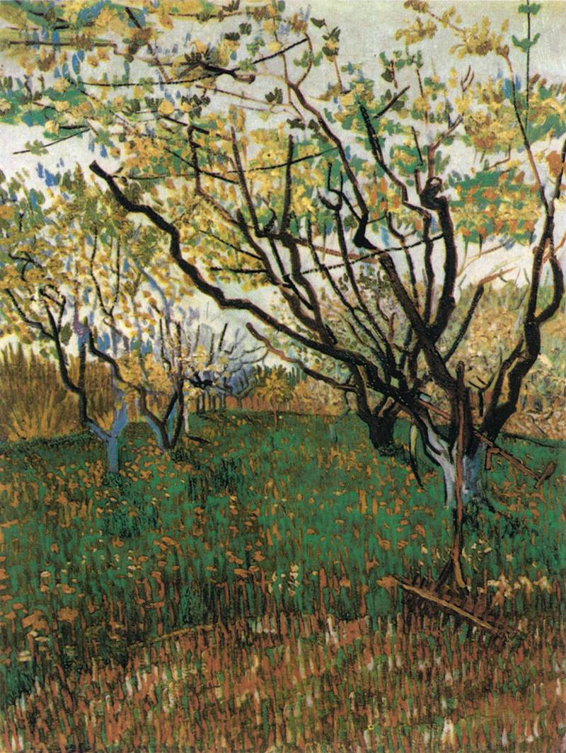 Orchard in Blossom