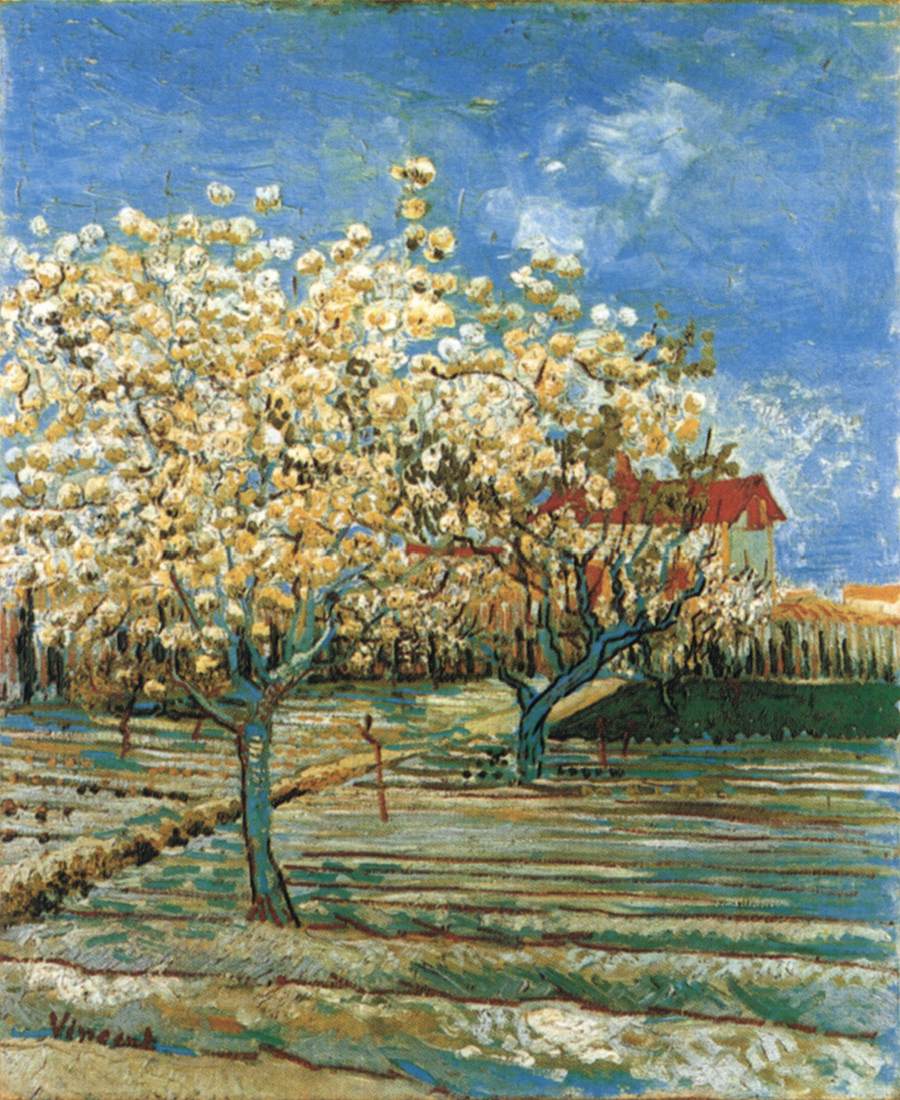Orchard in Blossom