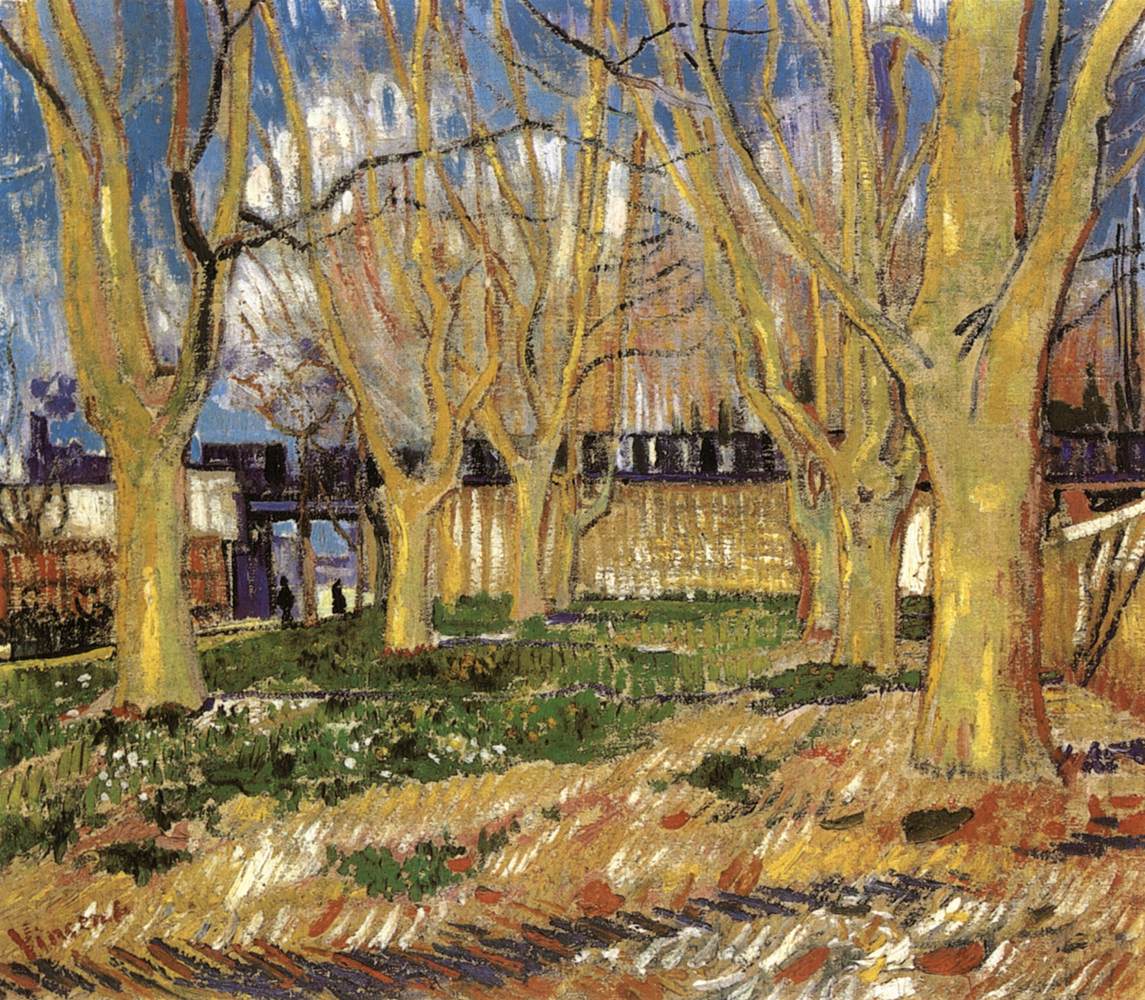 Avenue of Plane Trees near Arles Station