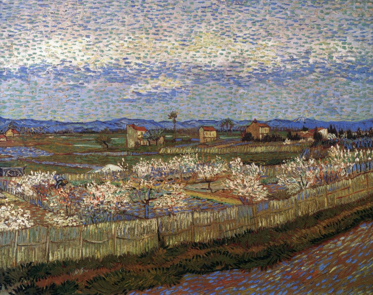 La Crau with Peach Trees in Blossom