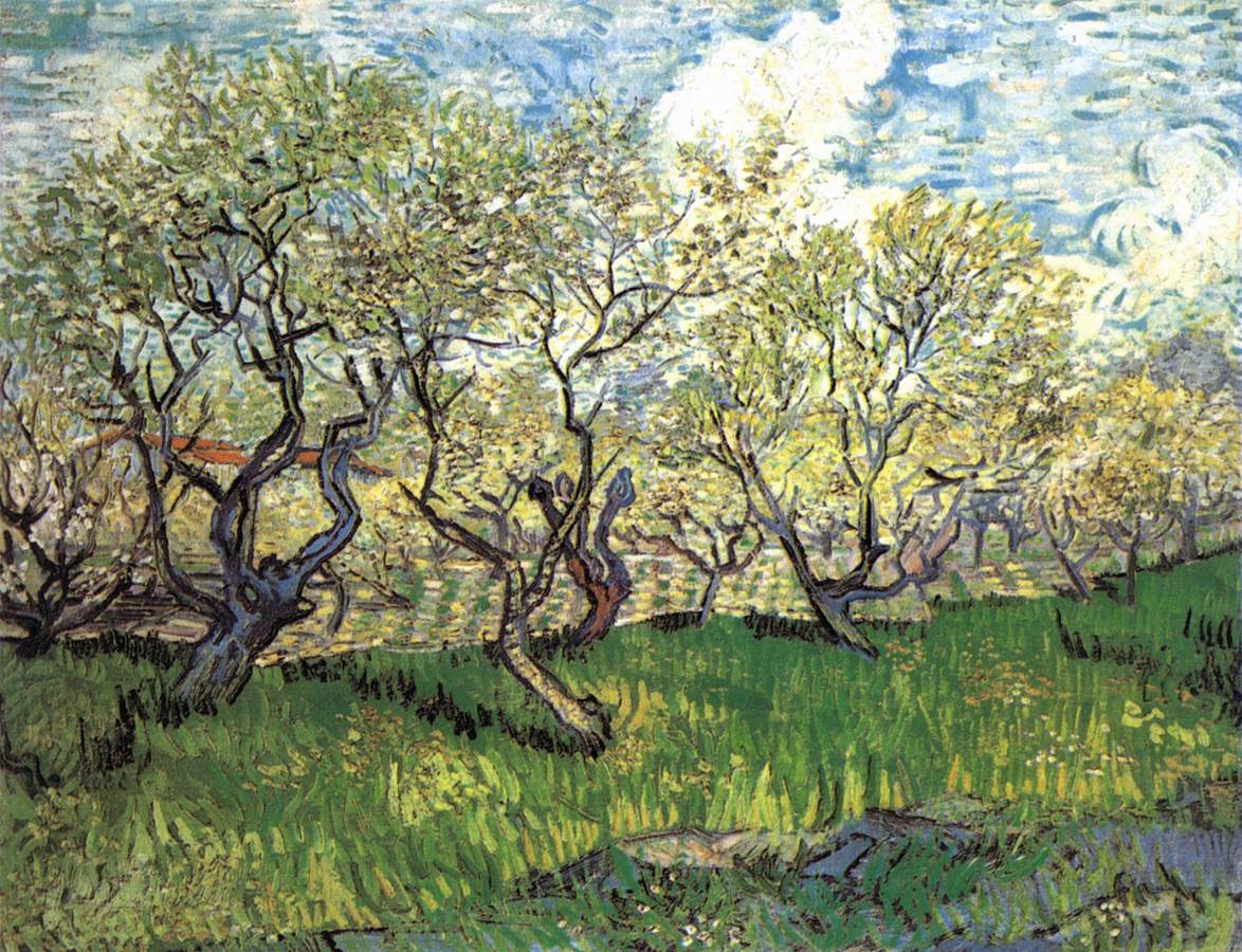 Orchard in Blossom