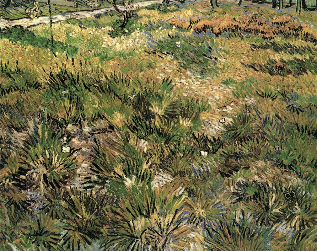 Meadow in the Garden of Saint-Paul Hospital