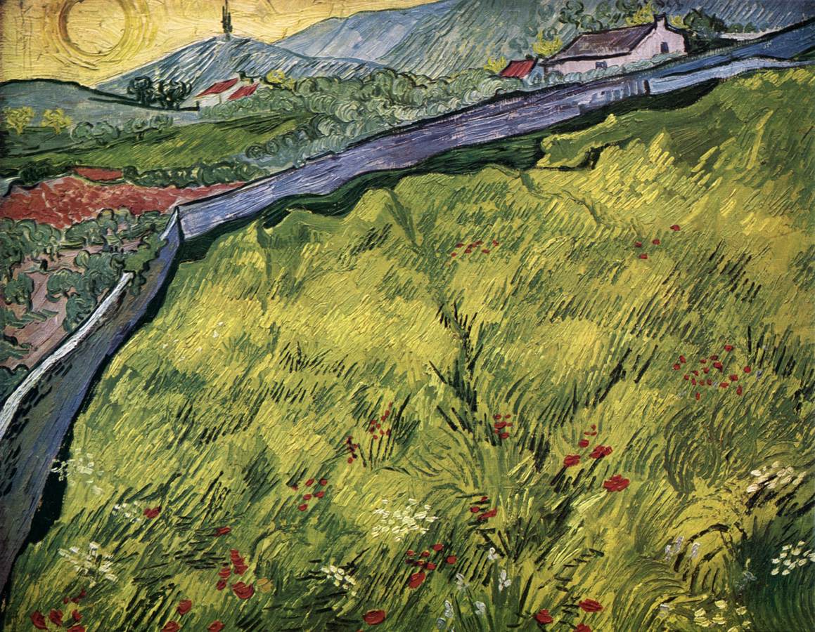 The Enclosed Field at Sunrise