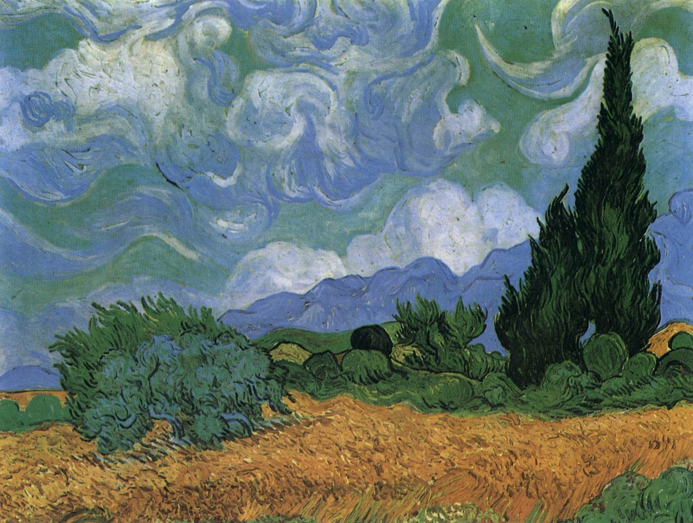 Wheat Field with Cypresses