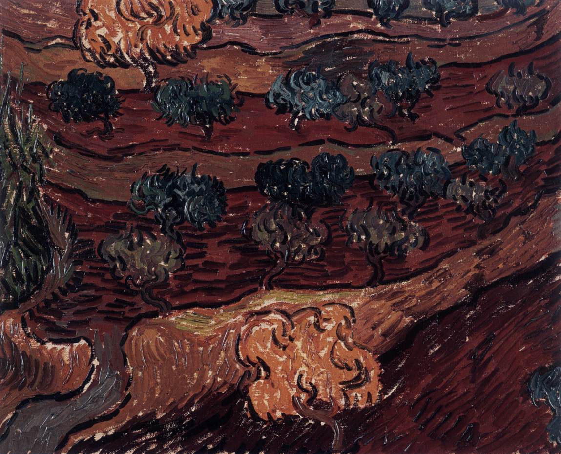 Olive Orchards against a Slope of a Hill