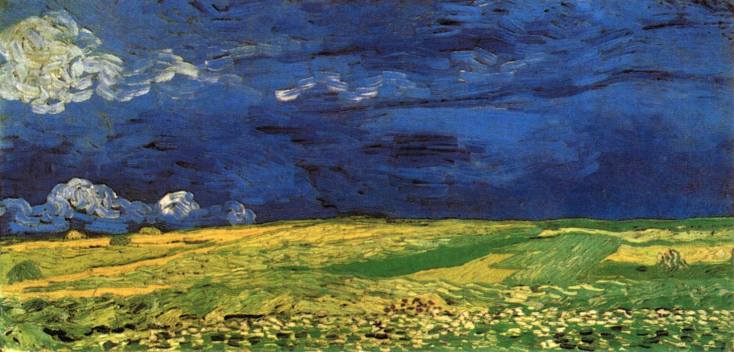 Wheat Field under Clouded Sky