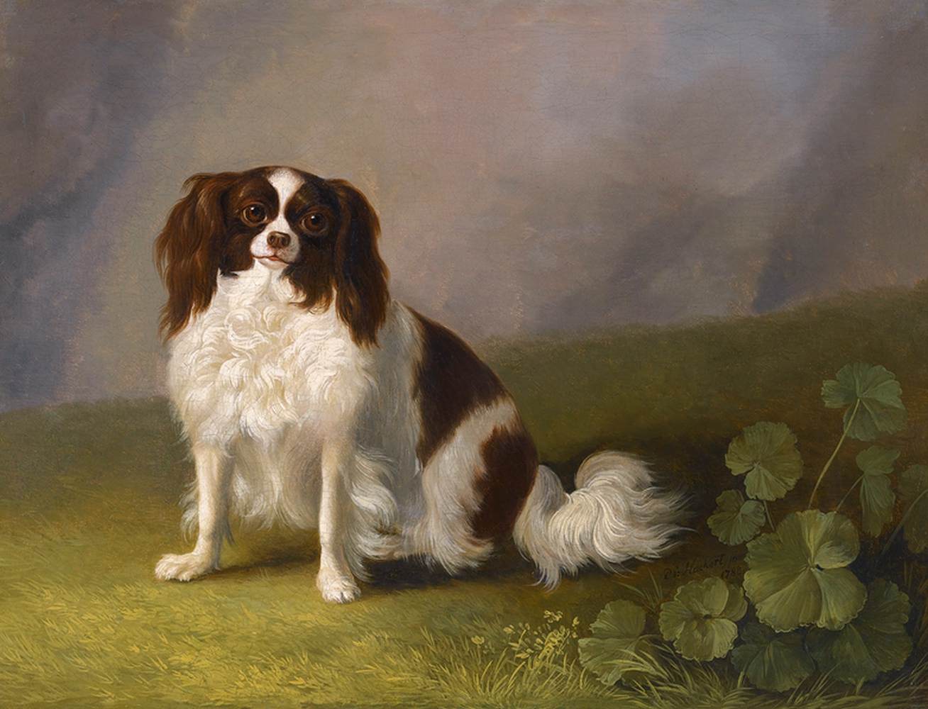 Portrait of a King Charles Spaniel in a Landscape