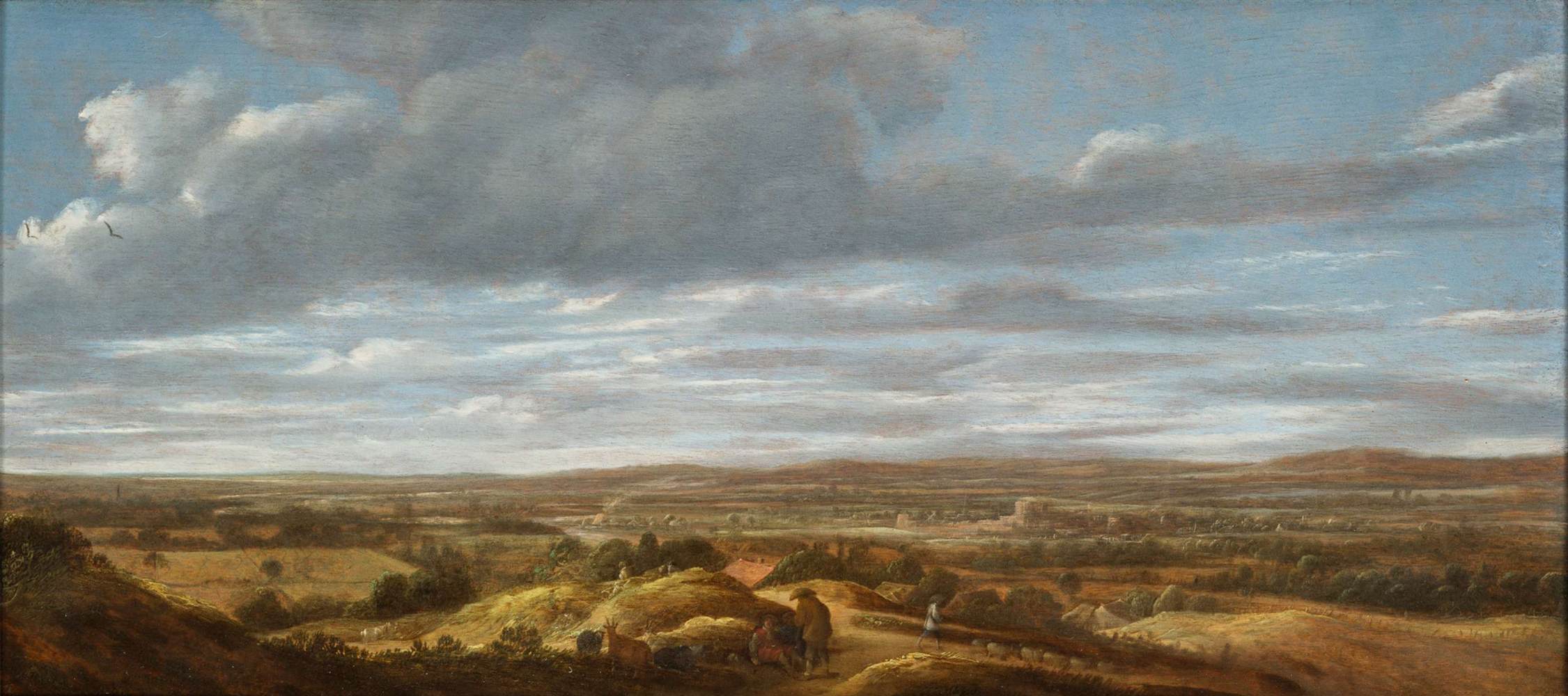 Extensive Landscape
