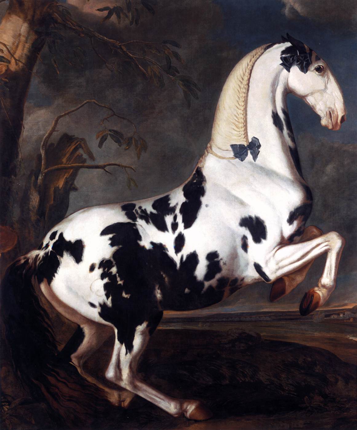 Portrait of a Piebald