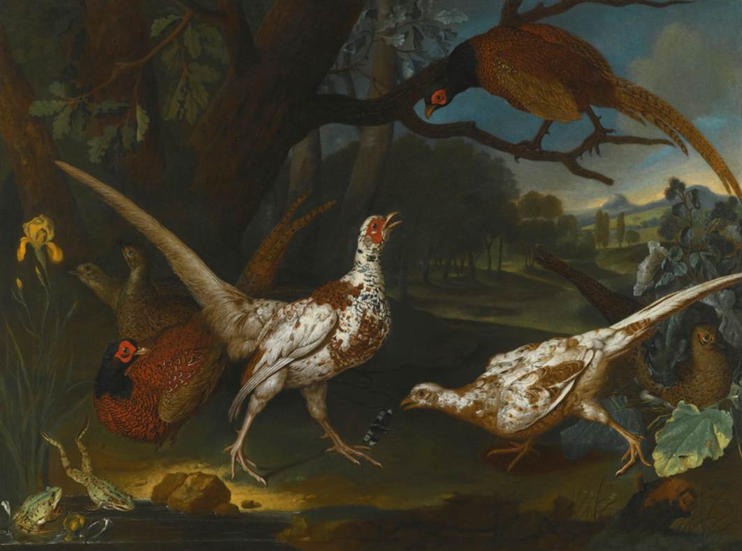Oriental Pheasants by a Pond in a Wooded Landscape