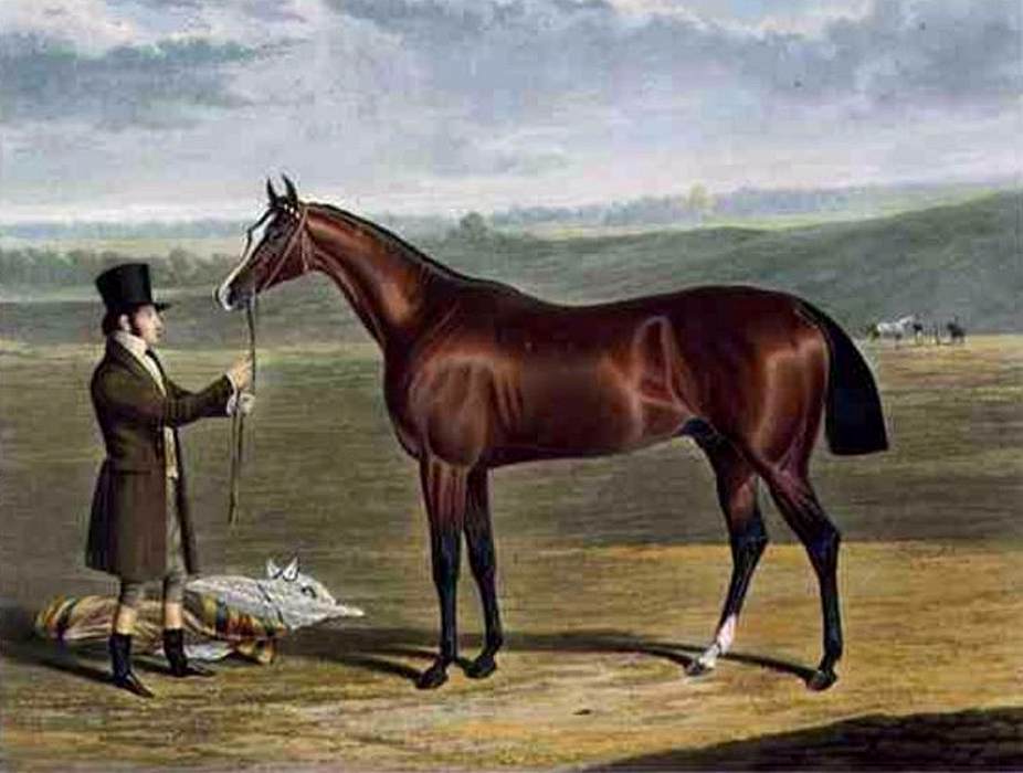 'Mameluke', the Winner of the Derby Stakes at Epsom, 1827