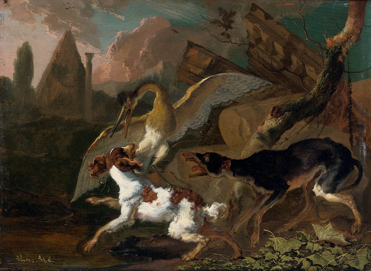 A Bird and Dog Fighting