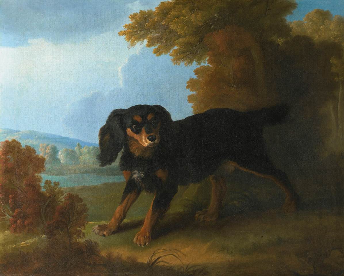 Portrait of Mimi, Madame de Pompadour's King Charles Spaniel