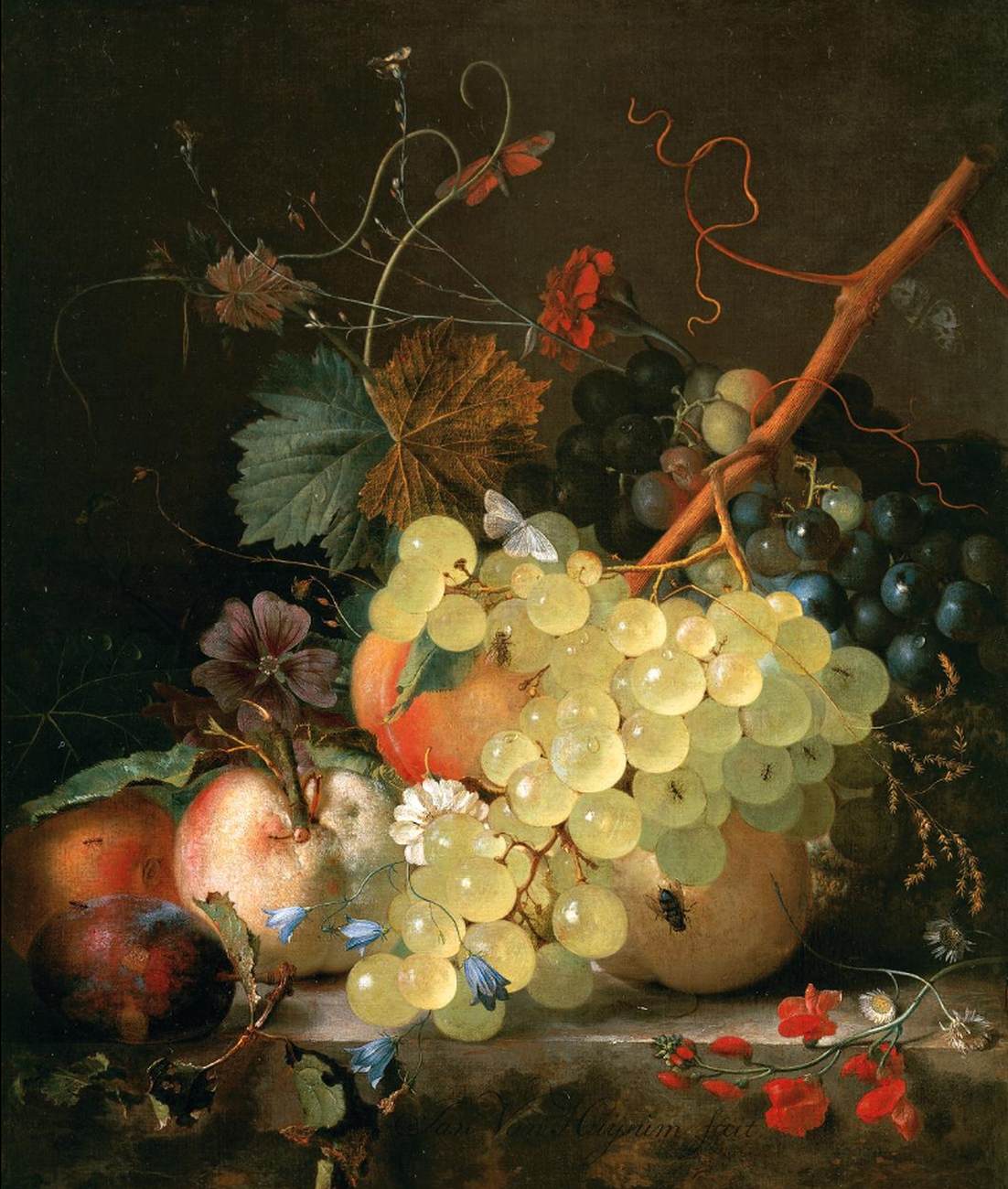 Still-Life
