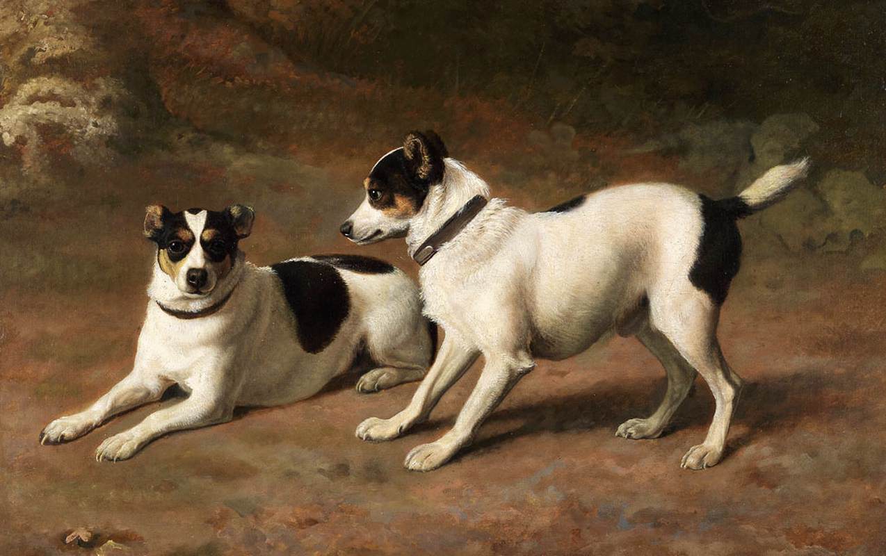 Two Terriers by a Mossy Bank