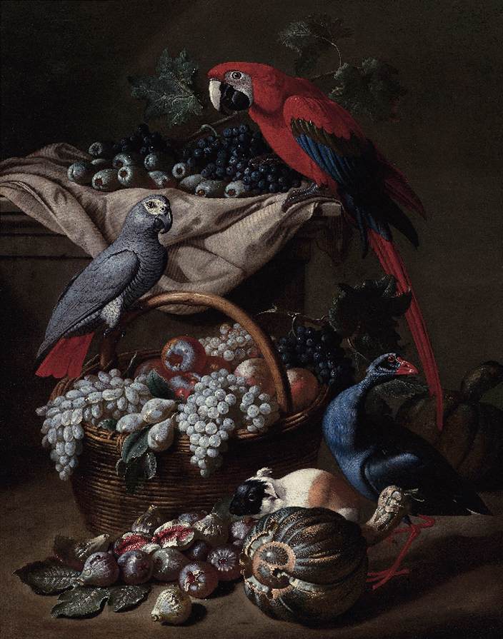 Still-Life