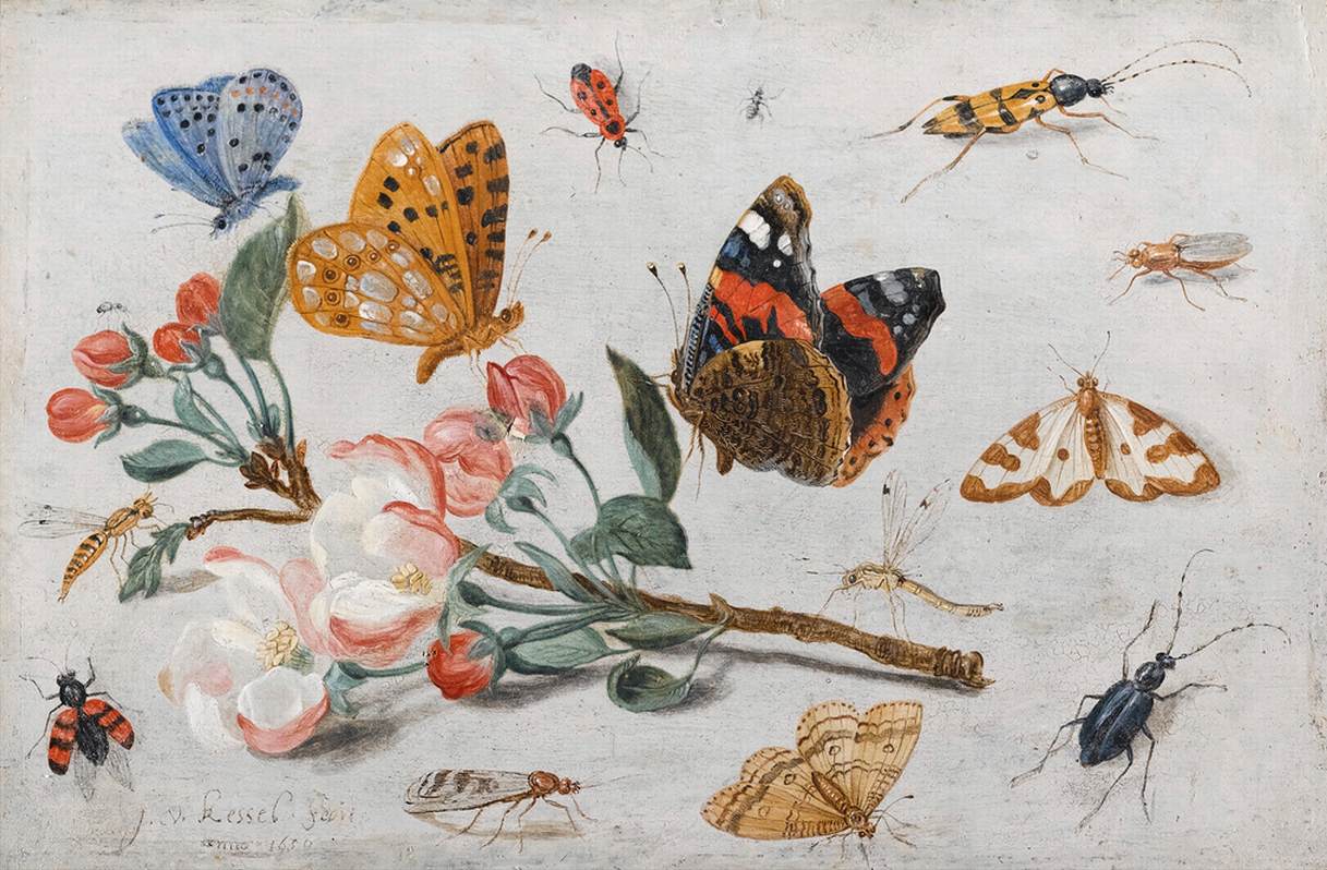 Study of Butterflies and Other Insects with a Sprig of Apple Blossom