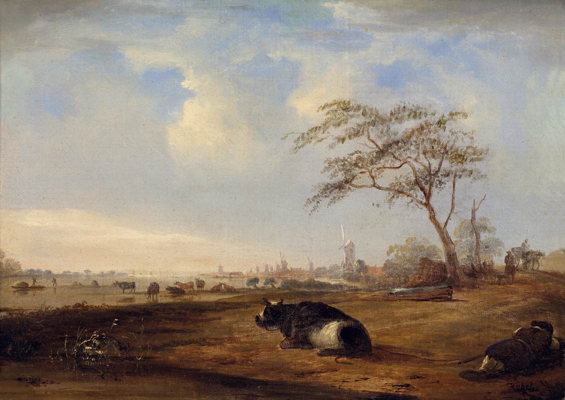 Extensive River Landscape