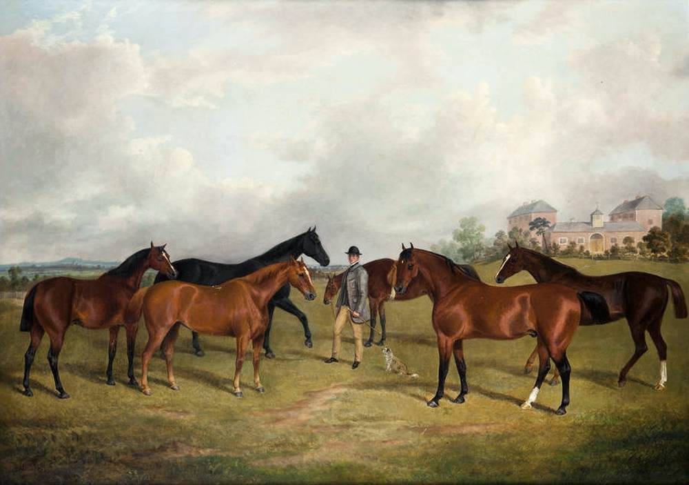 Hunters and Groom in a Paddock