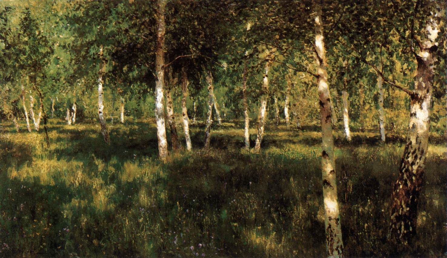 Birch Grove