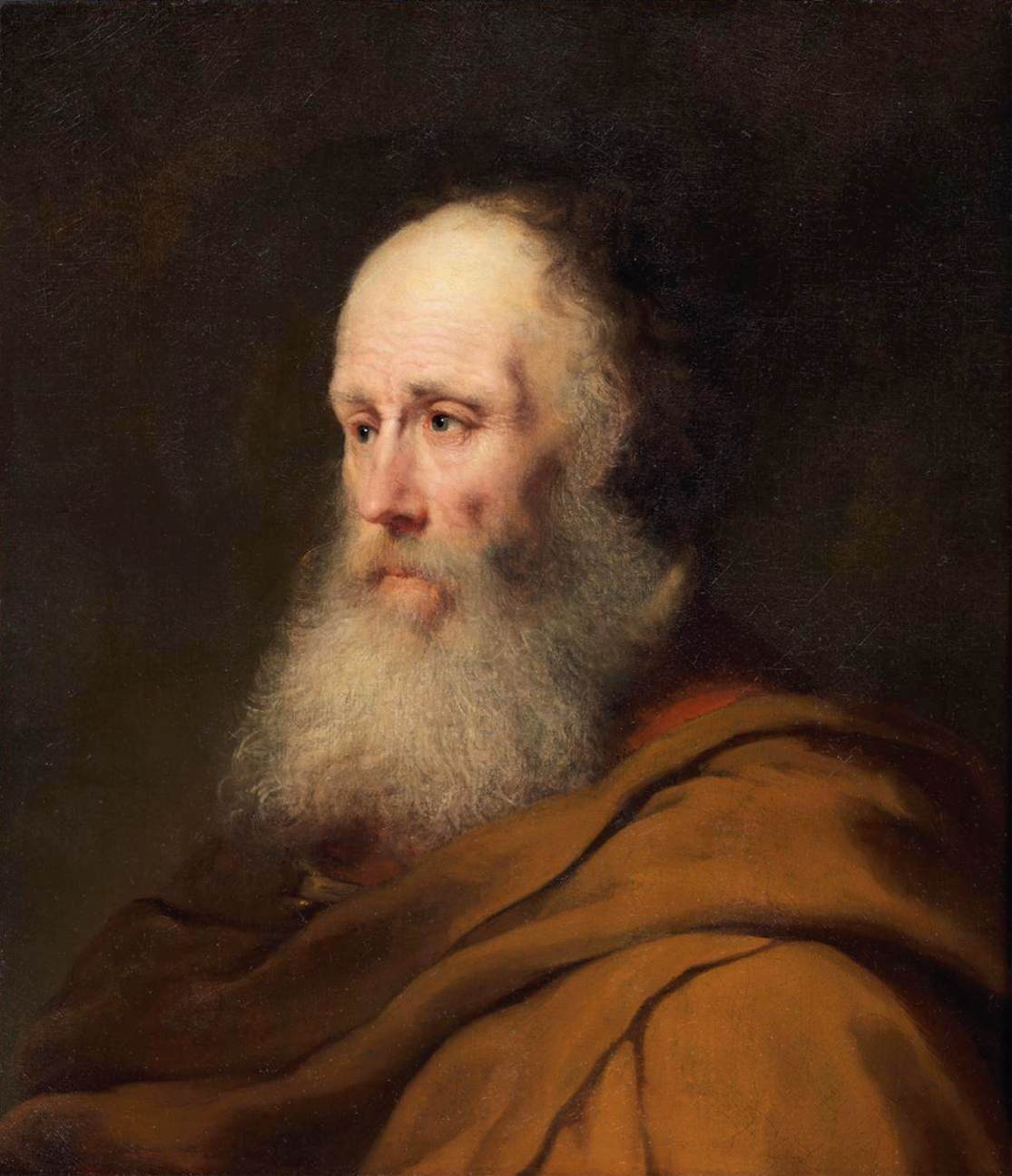 Bearded Old Man with a Brown Cloak