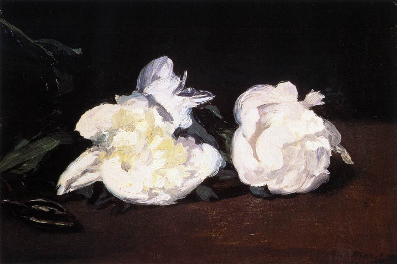 Branch of White Peonies and Secateurs
