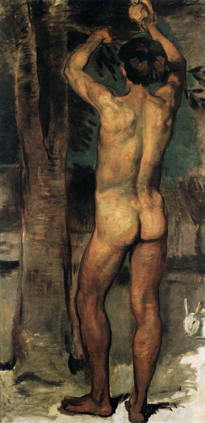 Youth Picking Oranges