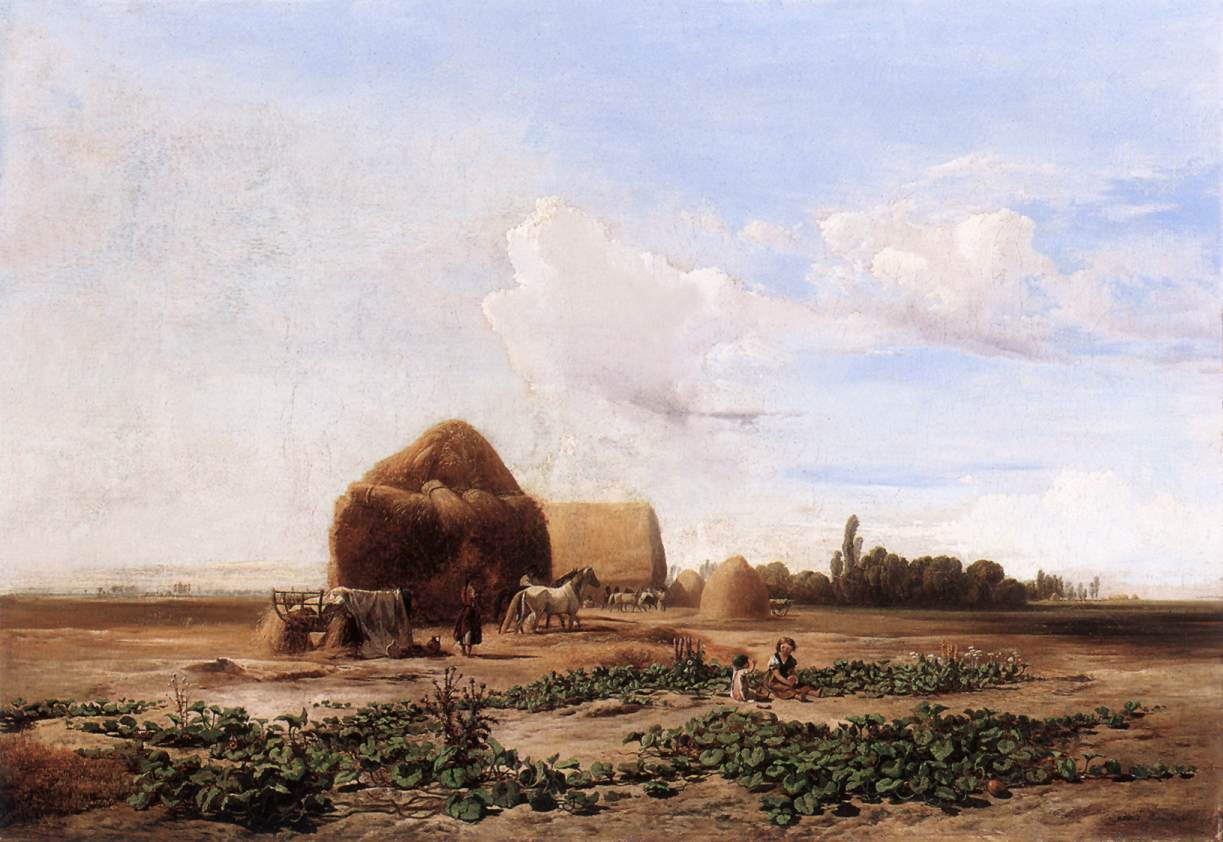 Harvesting Watermelons